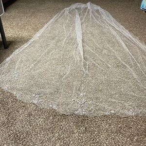 Beautiful cathedral veil